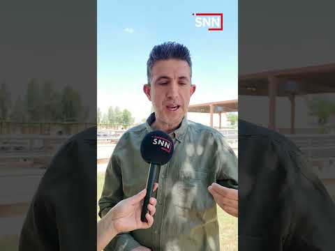 ئەگەر بەتەمای قوربانیت ئەمانەت بیرنەچێت