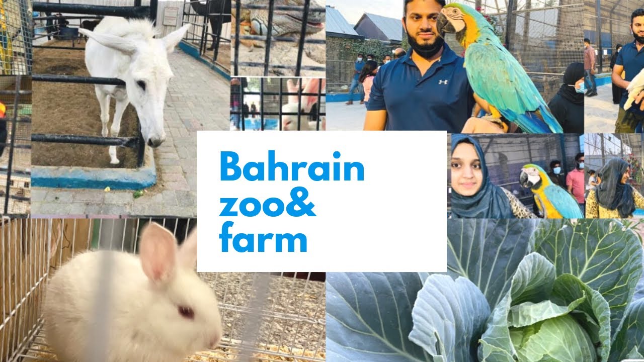 Tasneem Agricultural Development/Bahrain Zoo/Raju Riza’s World - YouTube