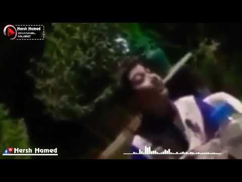 خۆشترین گۆرانی  دل لەسینەم دە رچوو وا هاورەکا بی وەستان بی وەستانهە مووسۆشال میدیای هەژاند