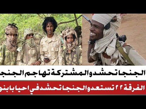 الجنجا تسنفر في نيالا الجيش يصد هجوم ٢٢