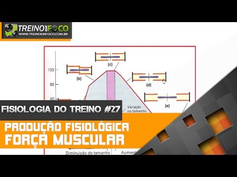 Produção Fisiológica de Força Muscular - Fisiologia do Treino #27