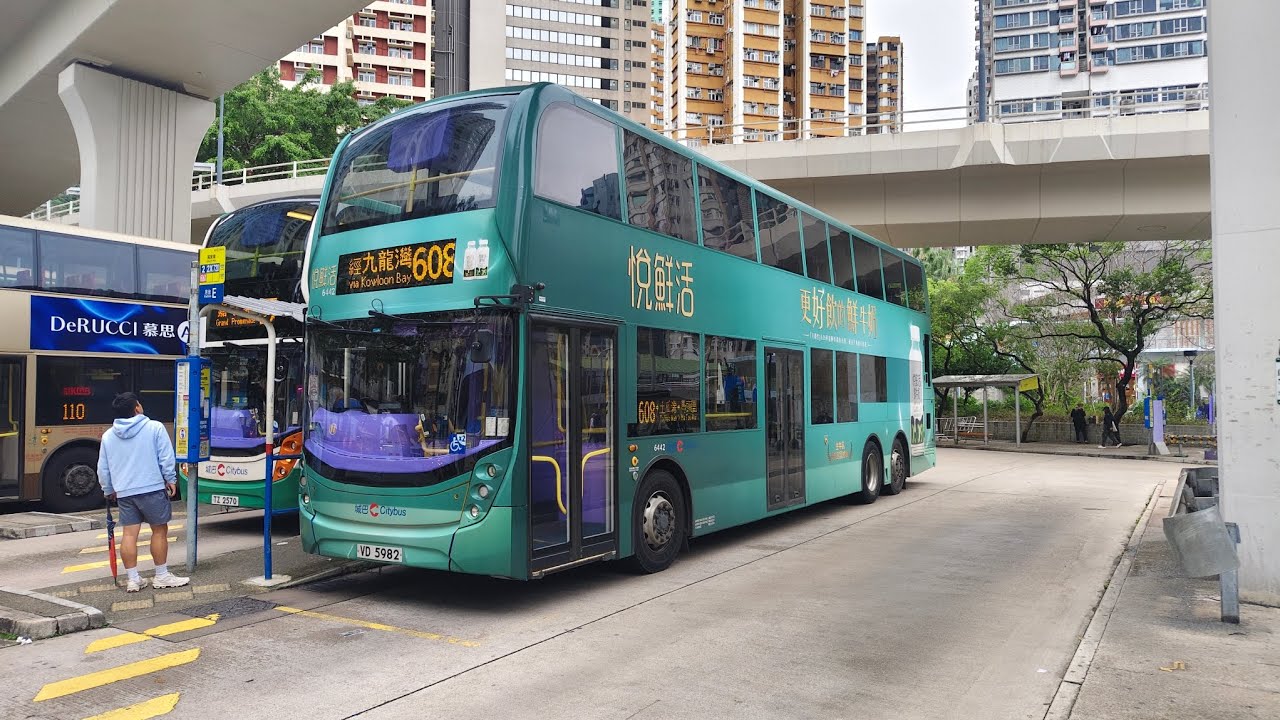 (觀繞特快)CTB城巴608由筲箕灣Shau Kei Wan→九龍城成德街Shing Tak Street己剪輯行車片段#ctb #608