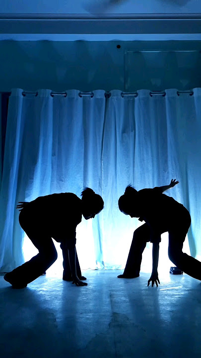 Black Swan X Fake Love Dance Cover #ytshorts
