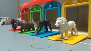 4 Animals dispatch color garage 4마리 동물 컬러 차고지에서 출발