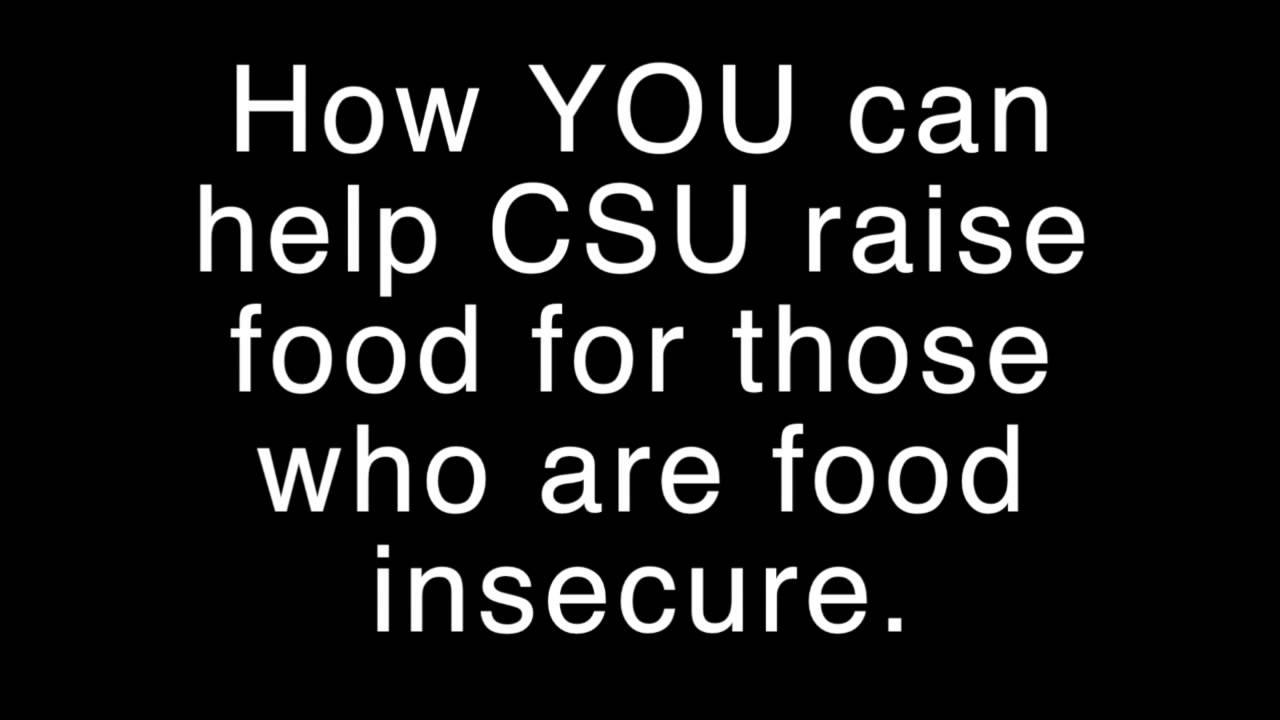 Cans Around The Oval