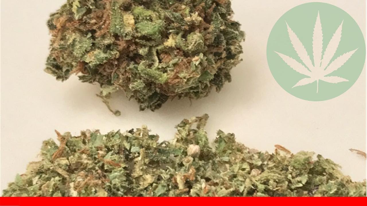 Satori - All About This Strain