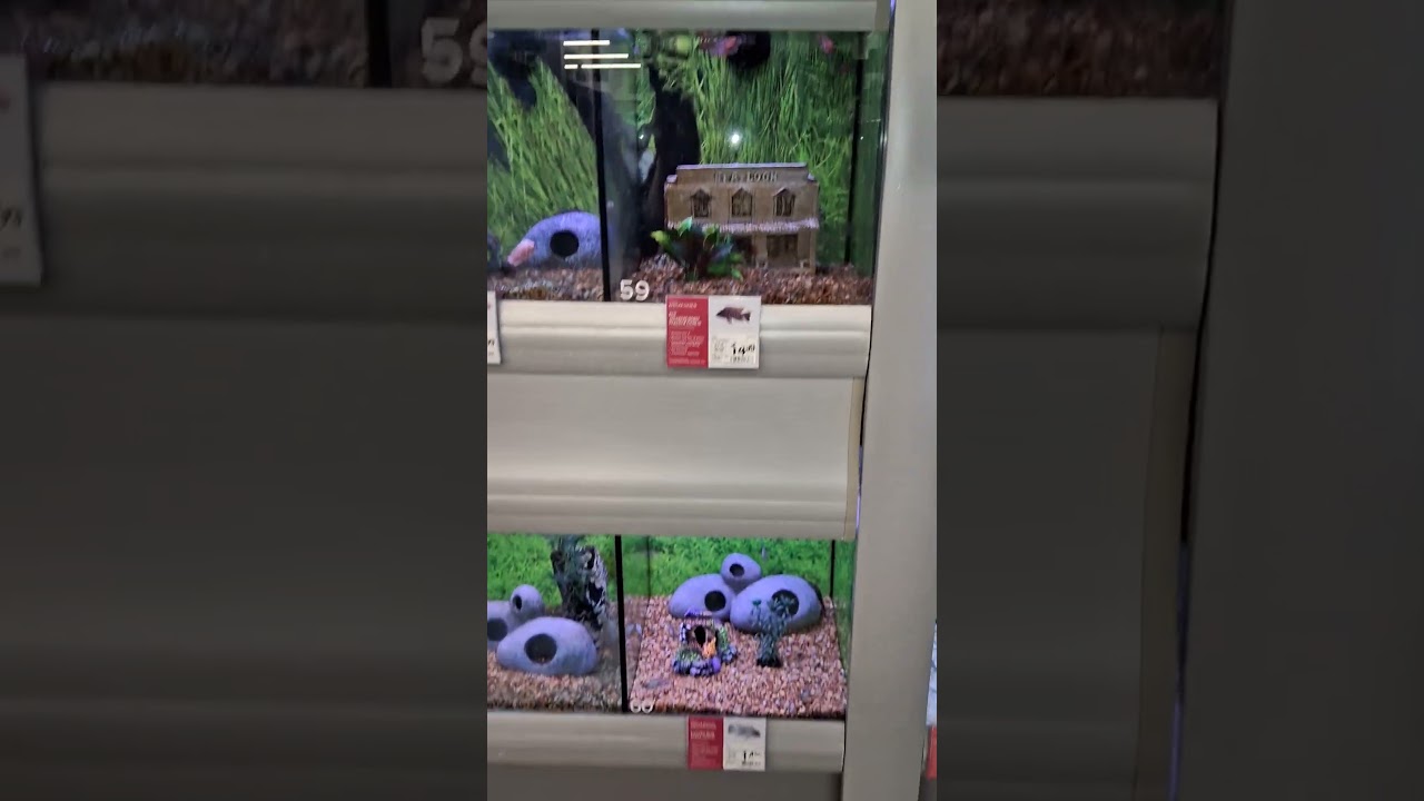A Fish Shelter At PetSmart/Burlington Centre In Burlington Ontario 01/16/26