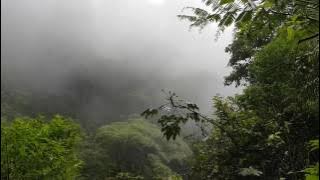 Suasana Perjalanan ke Air Terjun Pringgodani Karanganyar