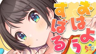 【#生スバル】おはスバしゅばああああああああああああああああああああああ!!!!/Free Talk【ホロライブ/大空スバル】