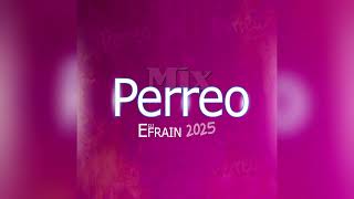MIX PERREO INTENSO 2025 🔥😈 (Fotoplack, Cochinola, La Batidora, Sandungeo - DJ EFRAIN