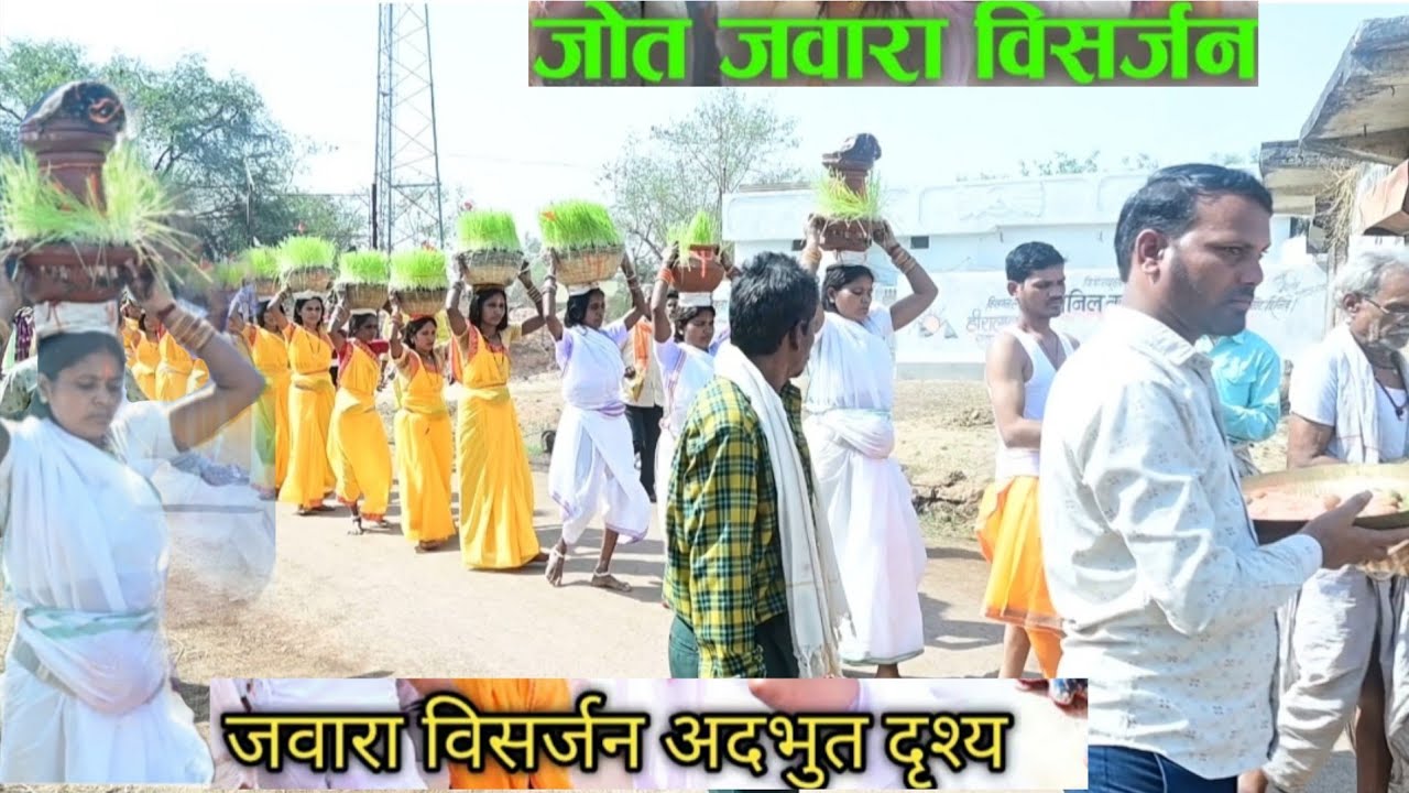 Jot jawara visarjan 2025.🙏🙏🙏जवारा विसर्जन jyot jawara visarjan @dadu_verma