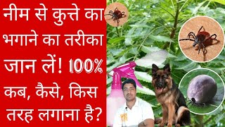 100% tick solution from Neem juice. || Best Home Remedy for tick.