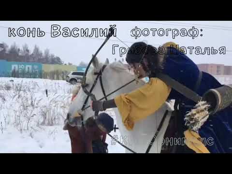 Животные для съемок. Аренда животных. КИНОконь