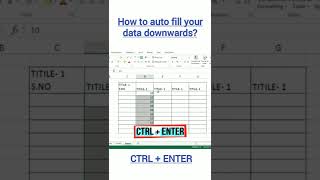 How to autofill downwards in Excel??