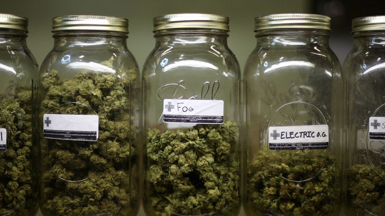 Business backlash over Queensland rehab clinic selling medicinal cannabis