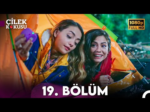 Запах клубники 19 серия