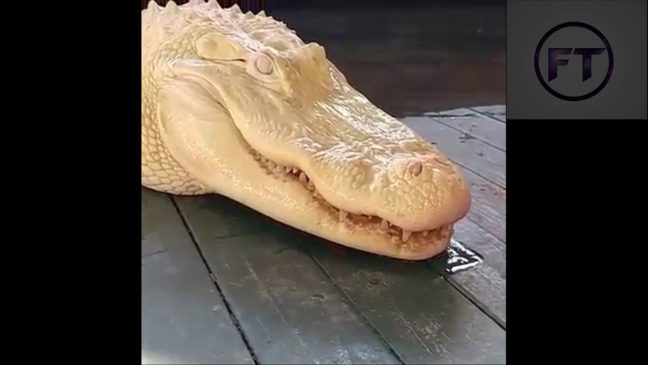 Himalayan Crocodile - YouTube