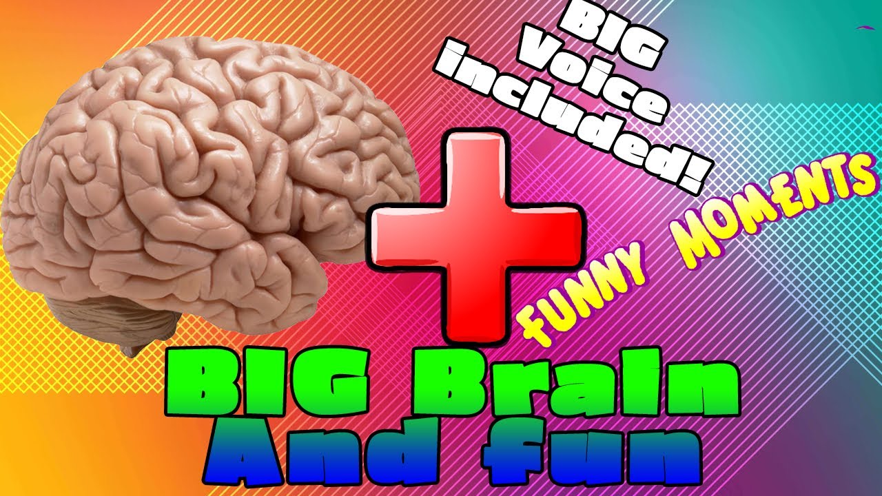 BIG Brain time + Funny moments in IRONSIGHT! | Mali Reborn from The Netherlands is back!