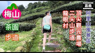 梅山龍眼村｜梅山龍眼林｜二尖山步道｜頂尖觀光農場｜二尖山 ... 