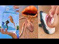 Catching Seafood 🦀🐙 Deep Sea Octopus (Catch Crab, Catch Fish) #124