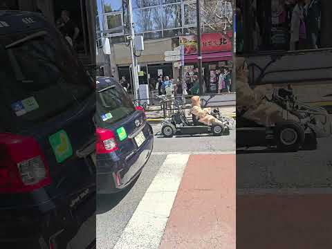 Look What Passed By On Takeshita Street In Front Of Harajuku Station...Go Kart Drivers! 4K UHD HDR