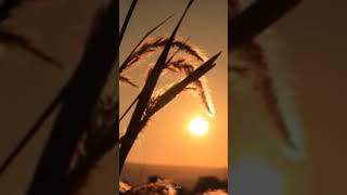 Download Lagu STORY WA TERBARU KAULAH CERITA KERENNN! MP3