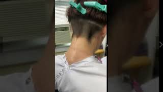 The video from the website https://www.flickr.com/people/petershepardhair/