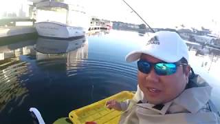 Spotted Bay Bass Fishing in Huntington Harbor