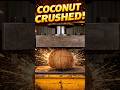 Coconut Crushed by Press