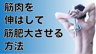 【ストレッチ筋トレ】筋肉を伸ばして筋肥大させる方法！上腕三頭筋編