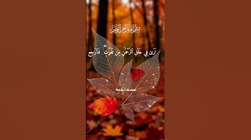 #قرآن_كريم _#القارئ الشيخ احمد العجمي