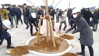 復興祈念公園で桜植樹  開園控え、宮城・南三陸