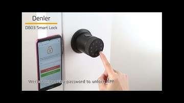 Denler DB03 Smart Door Lock, Digital Door Lock WiFi Remote Unlock, Fingerprint Lock, PIN, Key