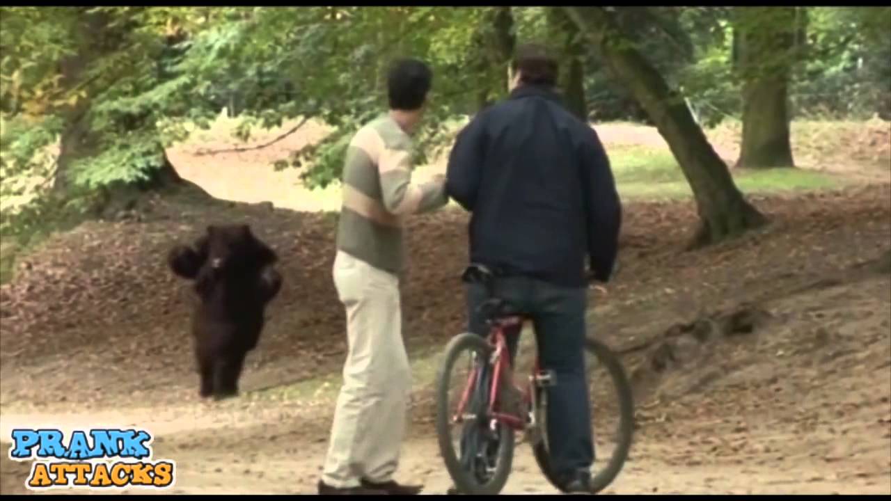 JFL Hidden Camera Pranks & Gags Grizzly Bear Surrenders YouTube