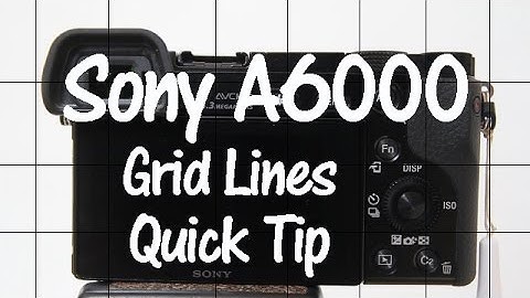 Sony A6000 and A6300 Quick Tip - Grid Lines