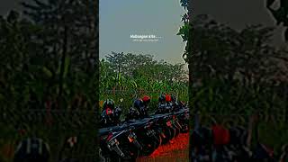 Download Lagu Dj pipi mimi x Cod MP3