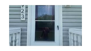 Richmond Home For Rent - 2 Bed 2 Bath - by Property Management in Richmond
