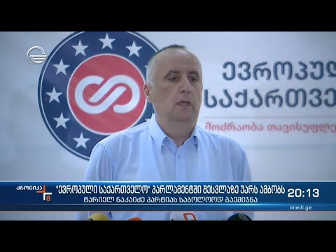 ევროპული საქართველო პარლამენტში არ შედის