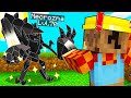 HO CATTURATO NECROZMA LEGGENDARIO NELLA PIXELMON SU MINECRAFT ITA!!