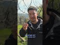 Challenge in Italia | GIAPPONESE VS PUGLIA