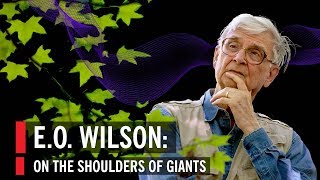 E.O. Wilson: On The Shoulders of Giants