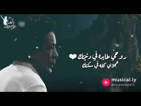 انتي مش زي الجميع محمد منير