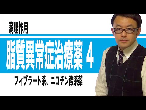 脂質異常症治療薬④（フィブラート系薬、ニコチン酸系薬など）