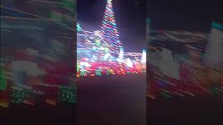 Player Profile Christmas Lights Gray Eagle Lane, Knoxville TN Saturday December 20, 2025