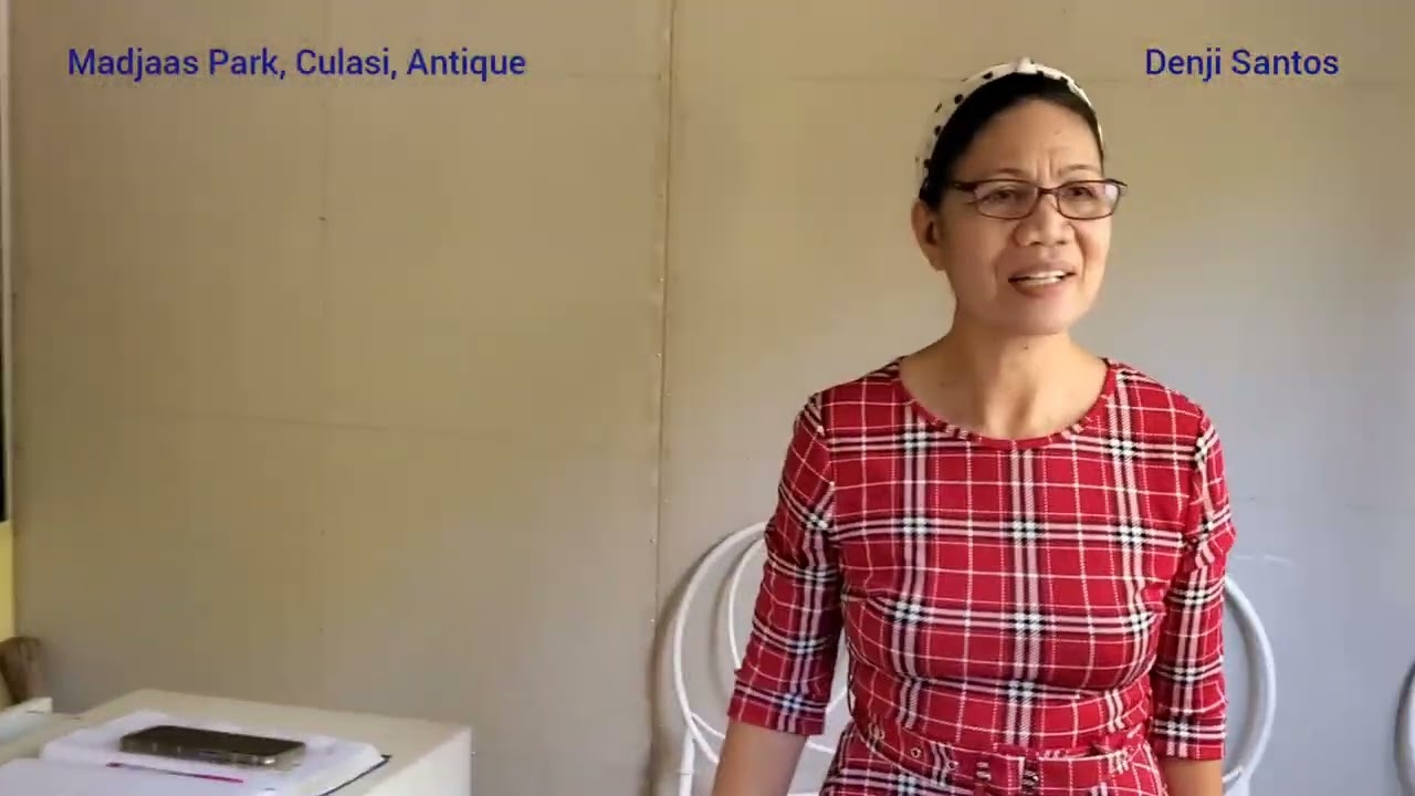 Madjaas Park, Culasi, Antique 