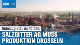 Millionen-Schäden bei Stahlriesen: Güterzug-Stau bremst Wirtschaft im Norden aus | NDR Info