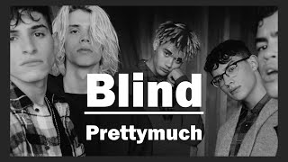 [한글 자막/가사 해석/번역] Prettymuch - Blind(acoustic)