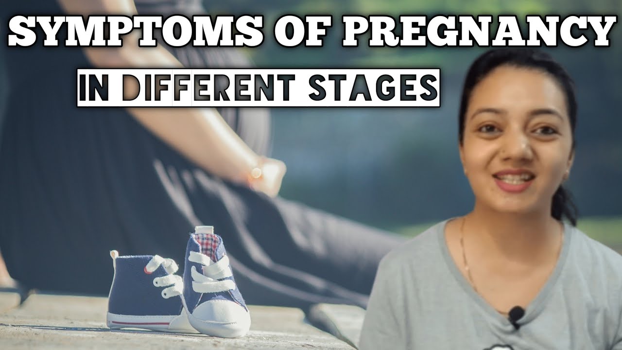 Early Signs And Symptoms Of Pregnancy Stages Of Pregnancy YouTube