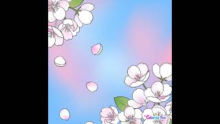 Coloring Fun By Number - Beautiful White Pink Flowers On The Background Pics Coloring Fun By Number - Beautiful White Pink Flowers On The Background Pics