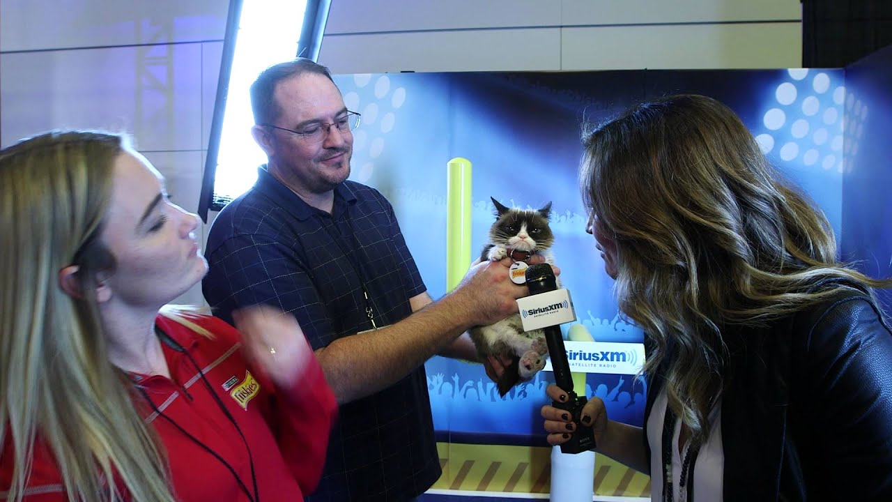 Grumpy Cat Takes Over Radio Row at Super Bowl 50 // SiriusXM YouTube